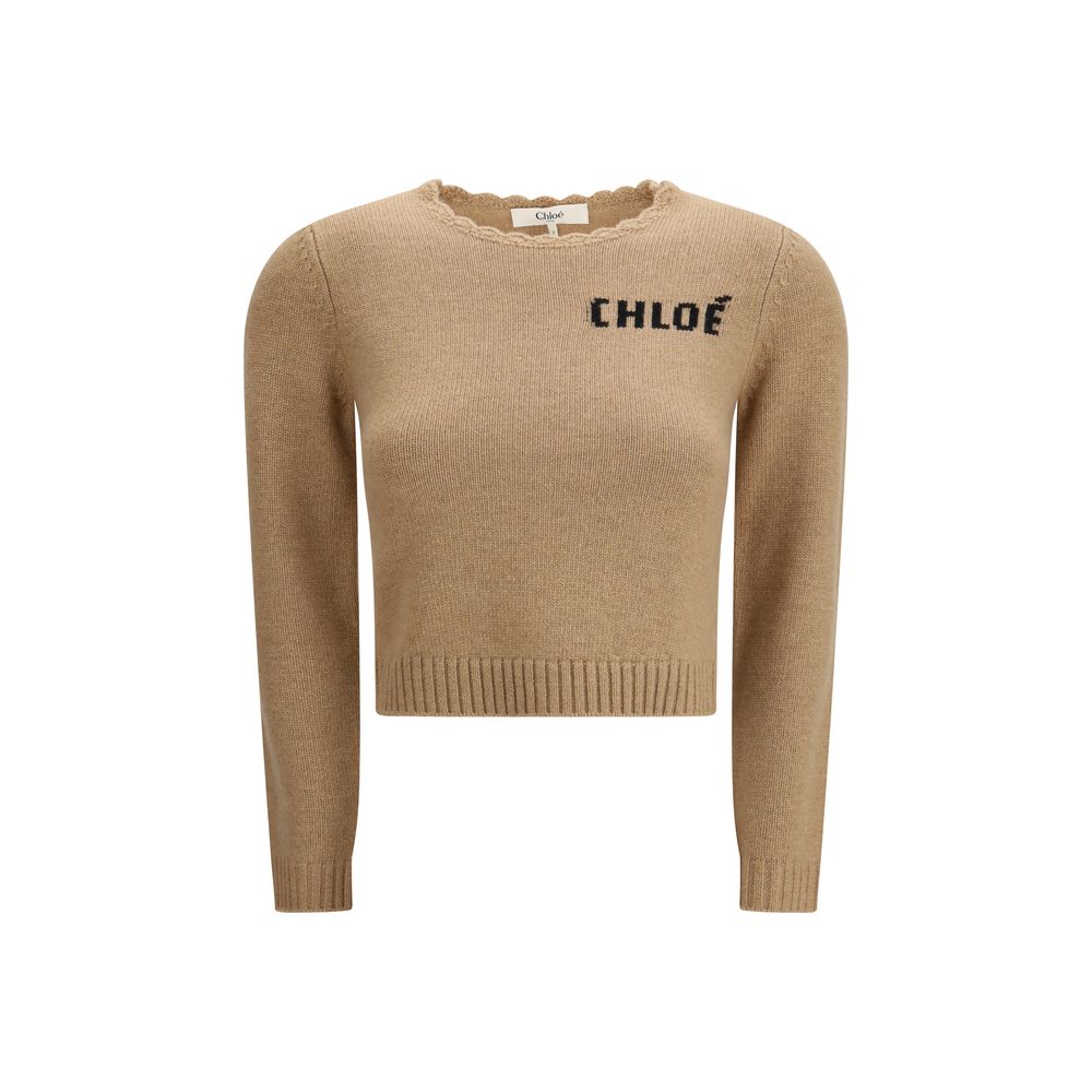 Chloé Brown Sweatshirts