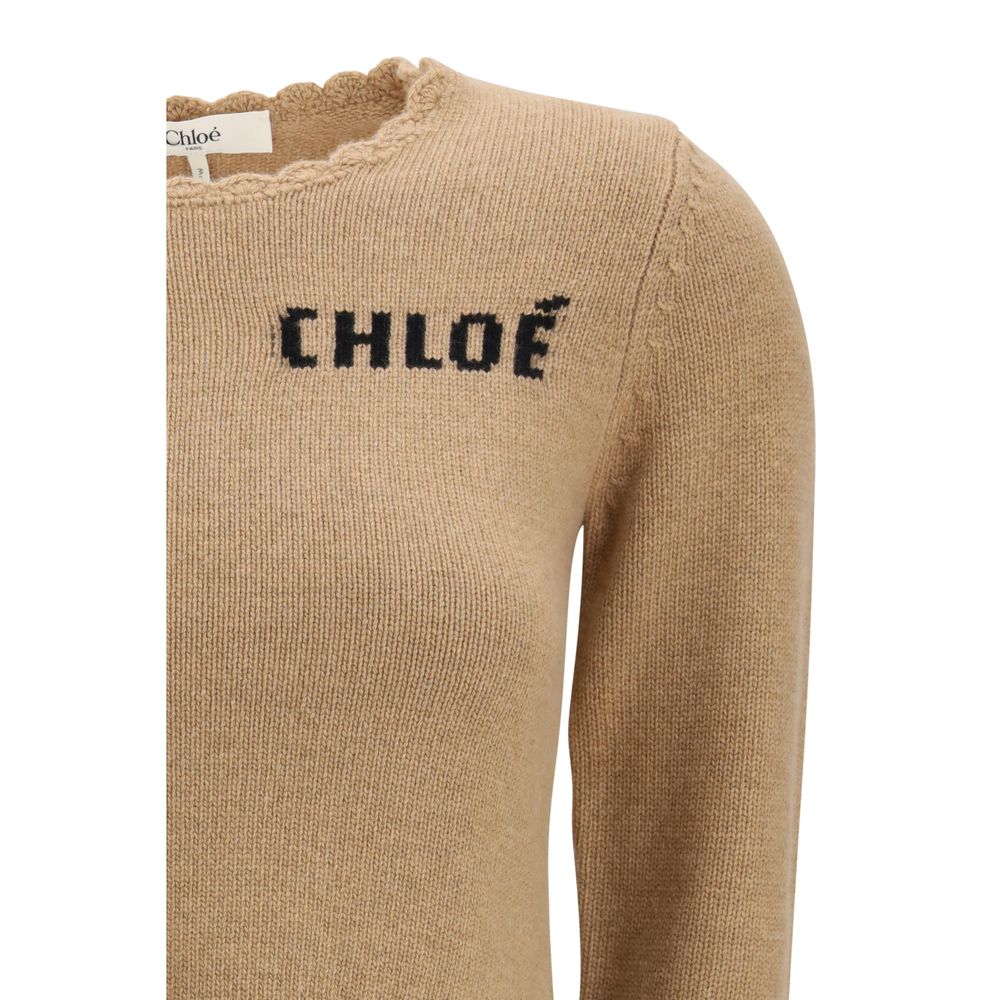 Chloé Brown Sweatshirts