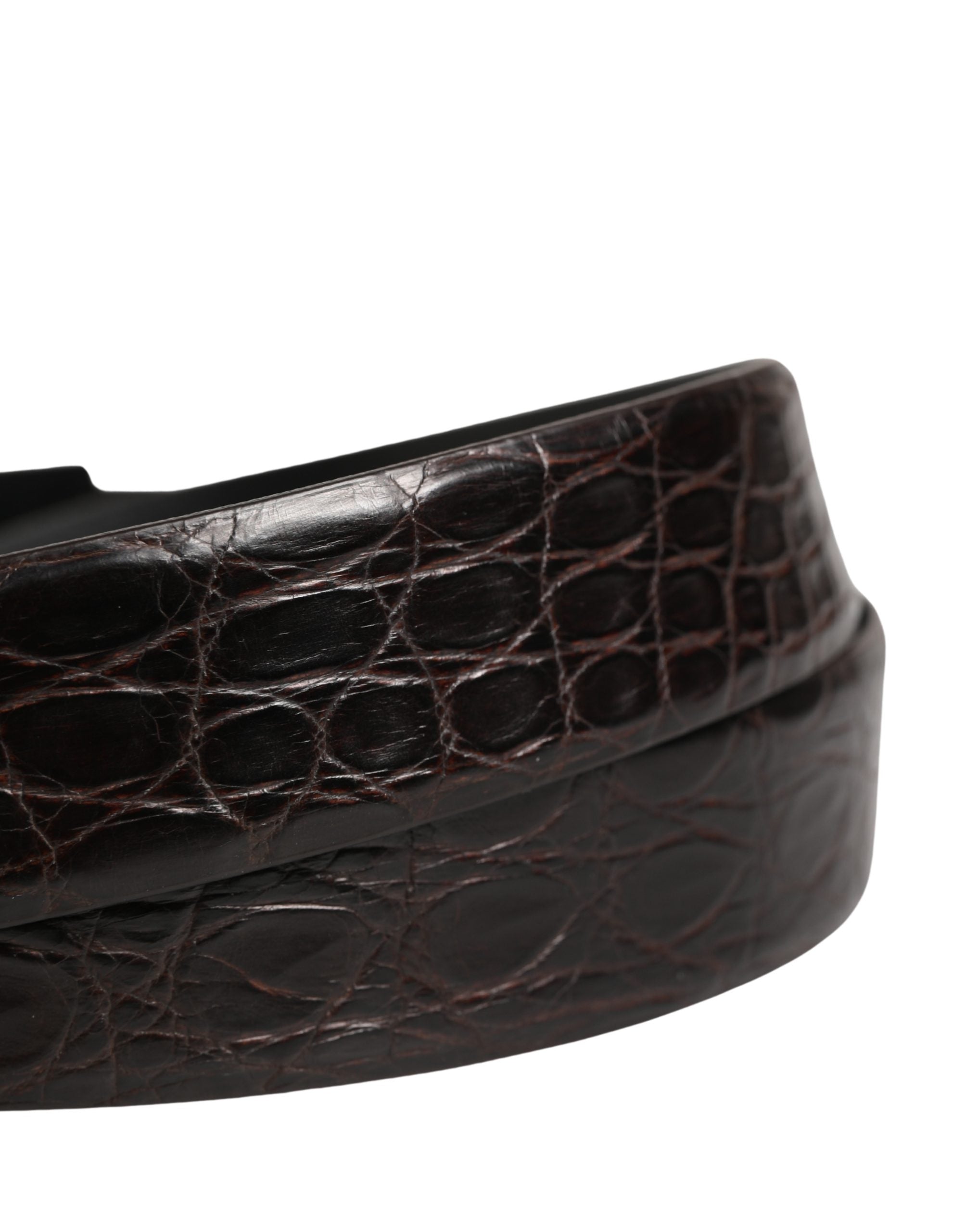 Dolce & Gabbana Men Black Exotic Leather Logo Buckle Belt Dolce & Gabbana