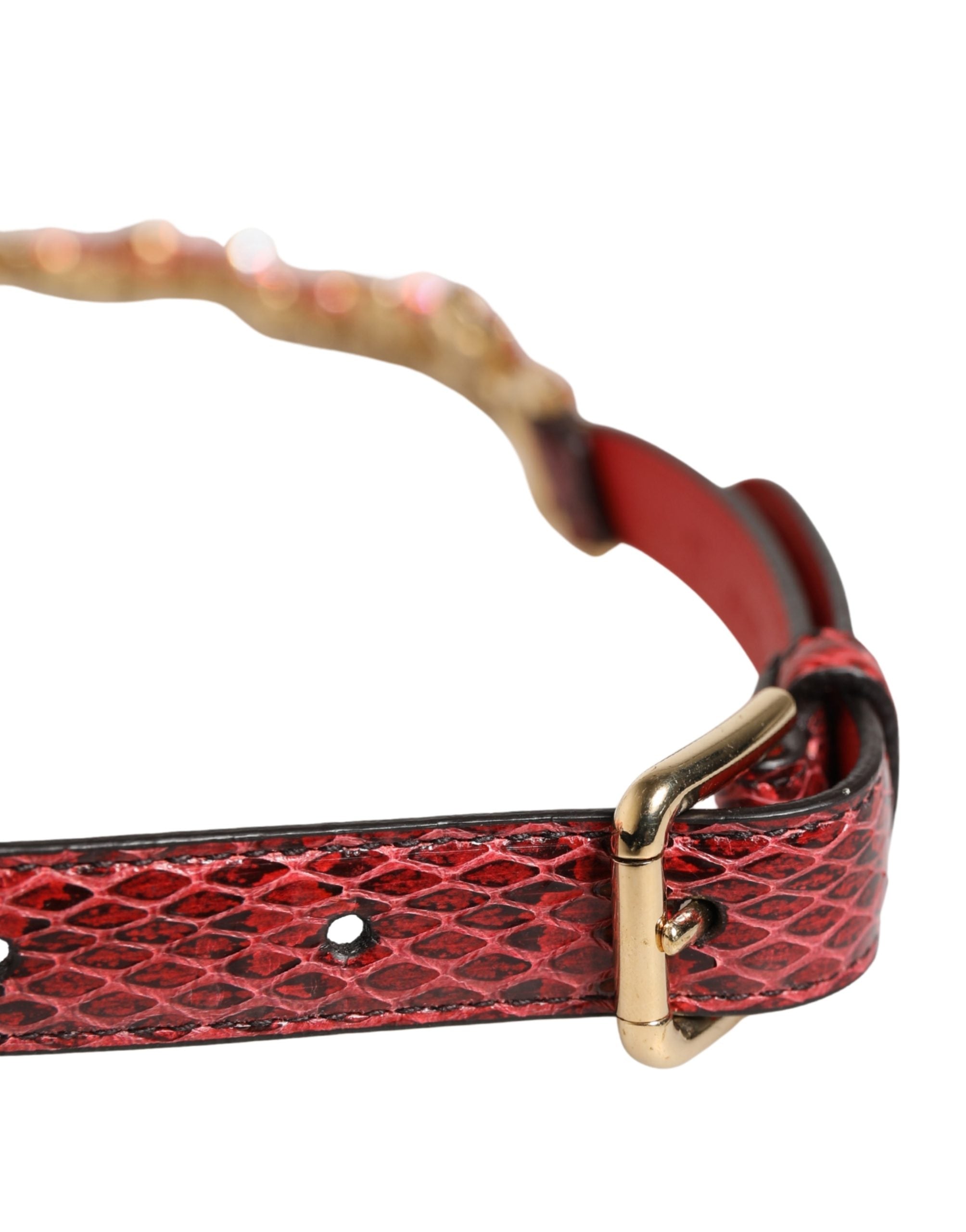 Dolce & Gabbana Red Leather Daisy Crystal Embellished Waist Belt Dolce & Gabbana