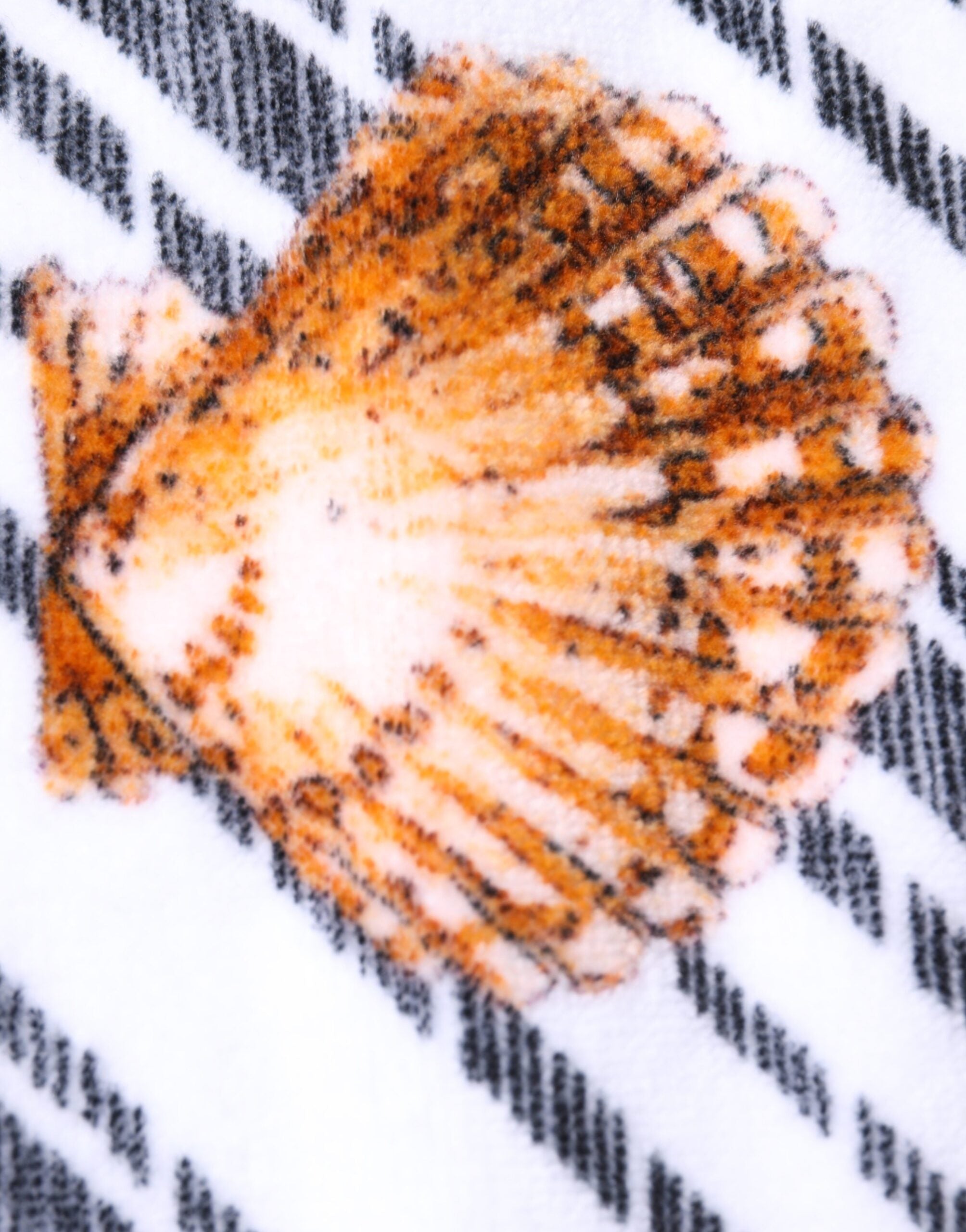 Dolce & Gabbana Multicolor Stripes Seashells Beach Towel Dolce & Gabbana