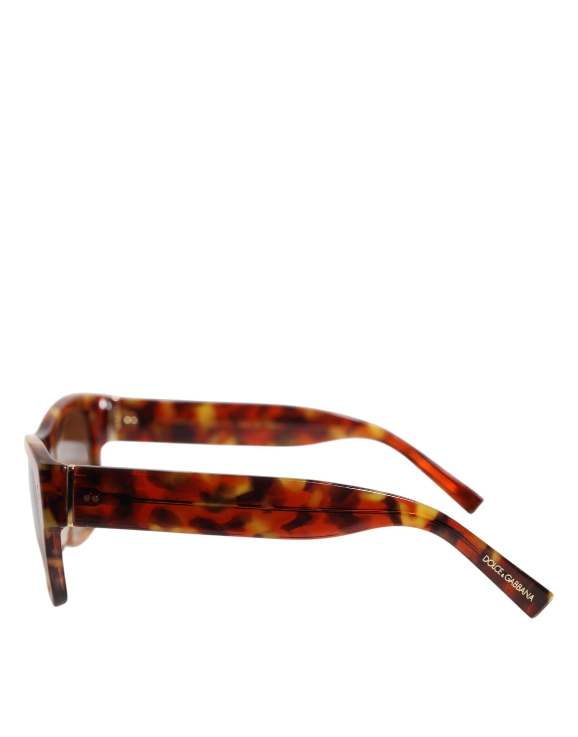 Dolce & Gabbana DG4338F Brown Havana Full Rim Round Lenses Sunglasses Dolce & Gabbana