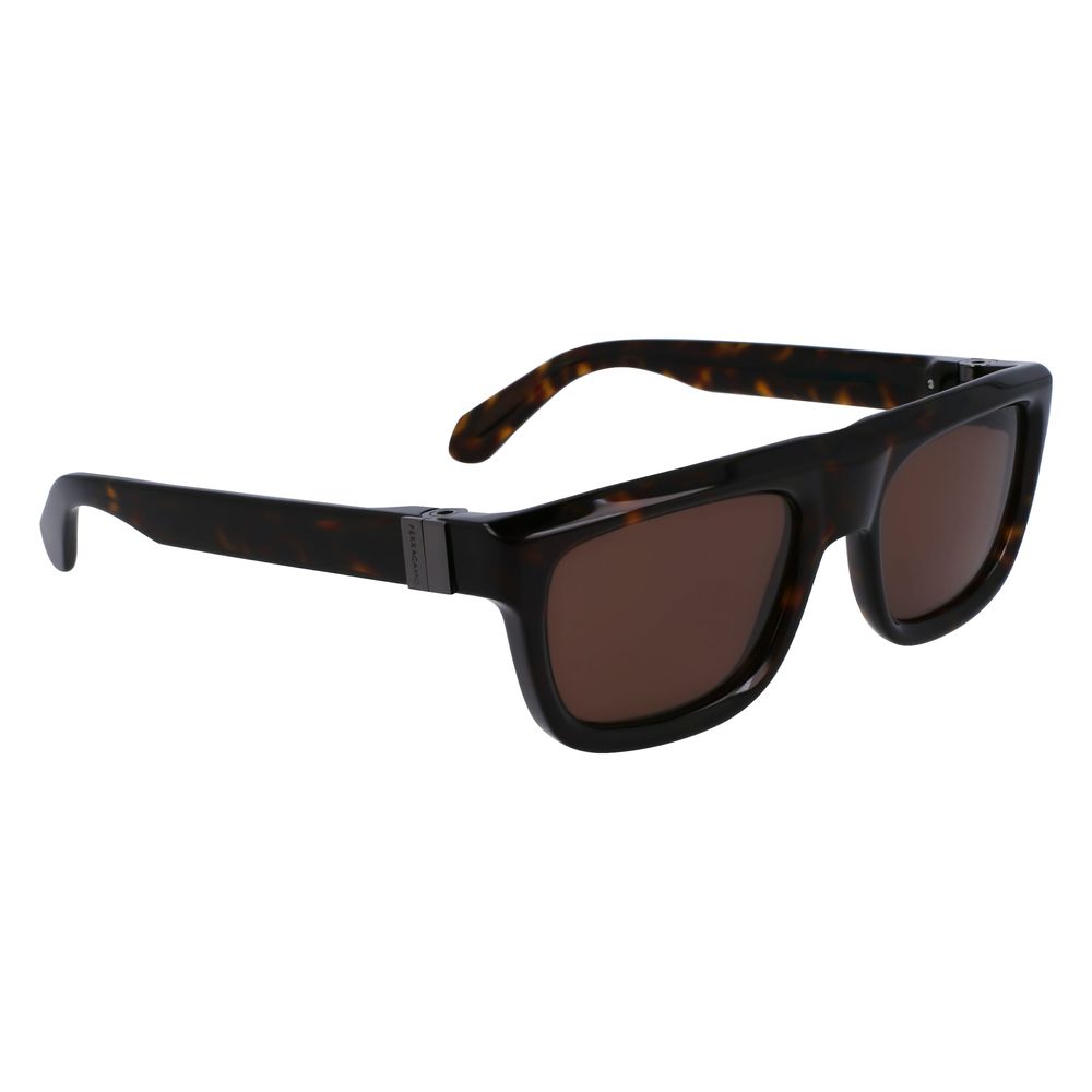 Ferragamo Brown Acetate Sunglasses Ferragamo