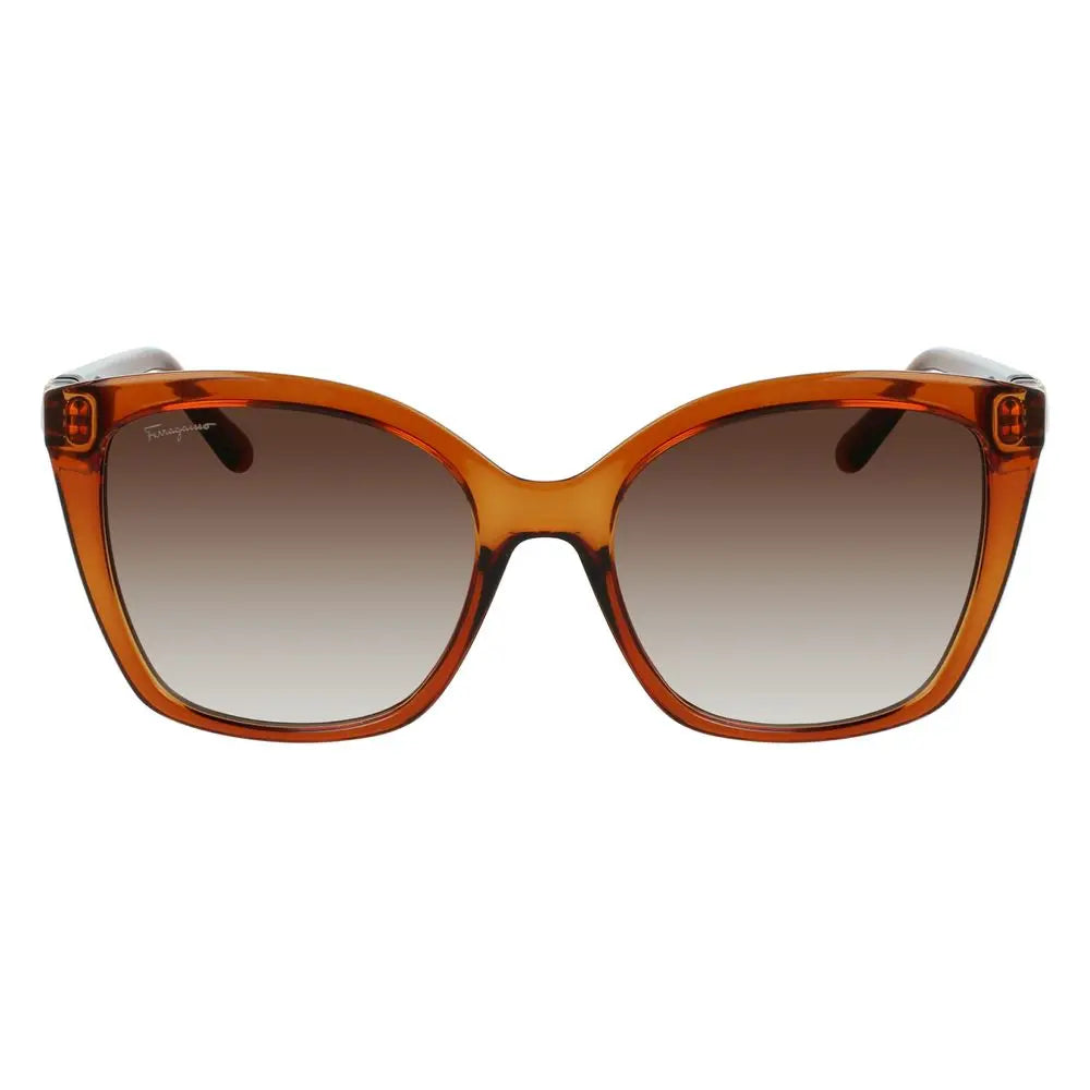 Ferragamo Brown Injected Sunglasses Ferragamo