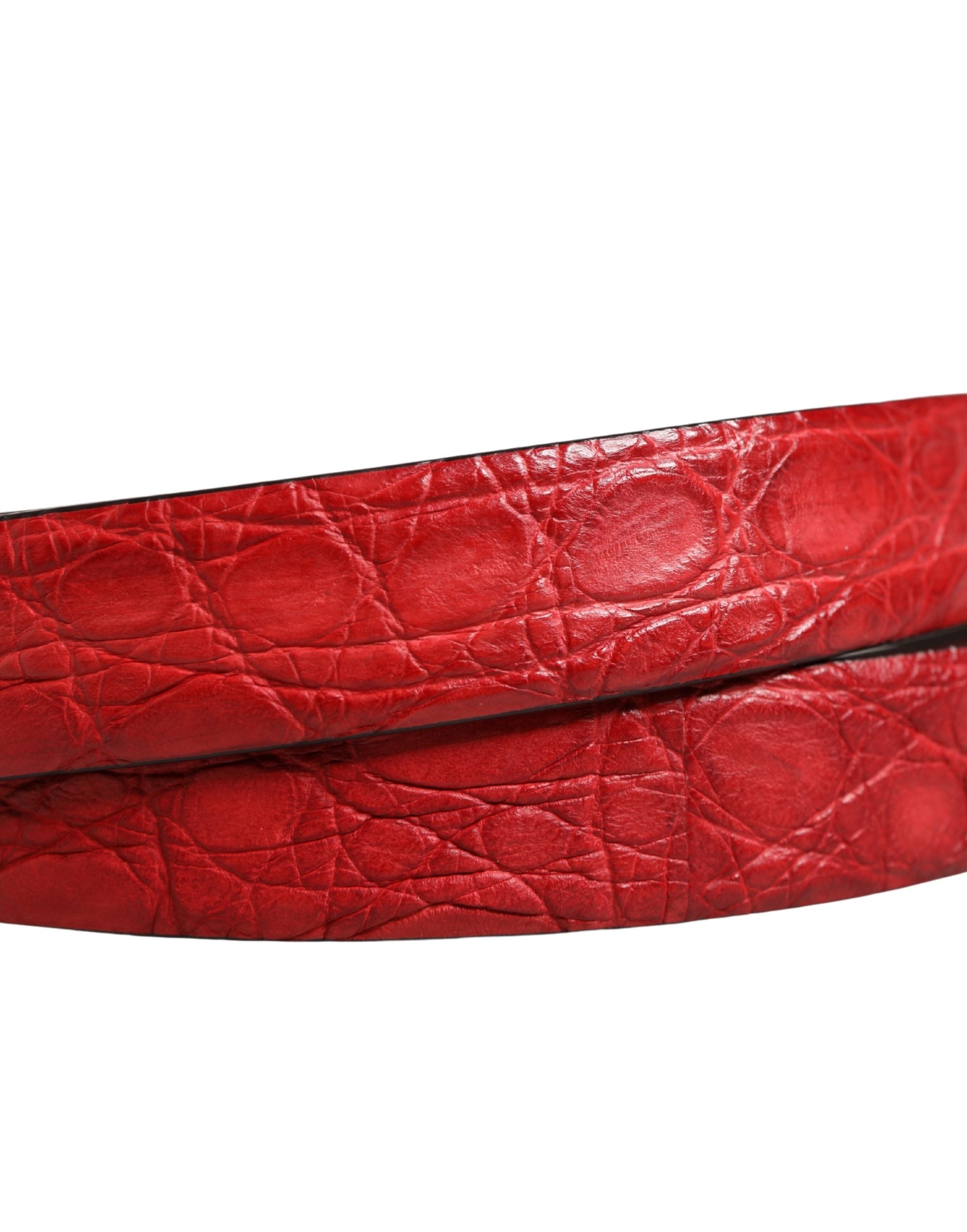Dolce & Gabbana Men Red Exotic Leather Metal Buckle Belt Dolce & Gabbana