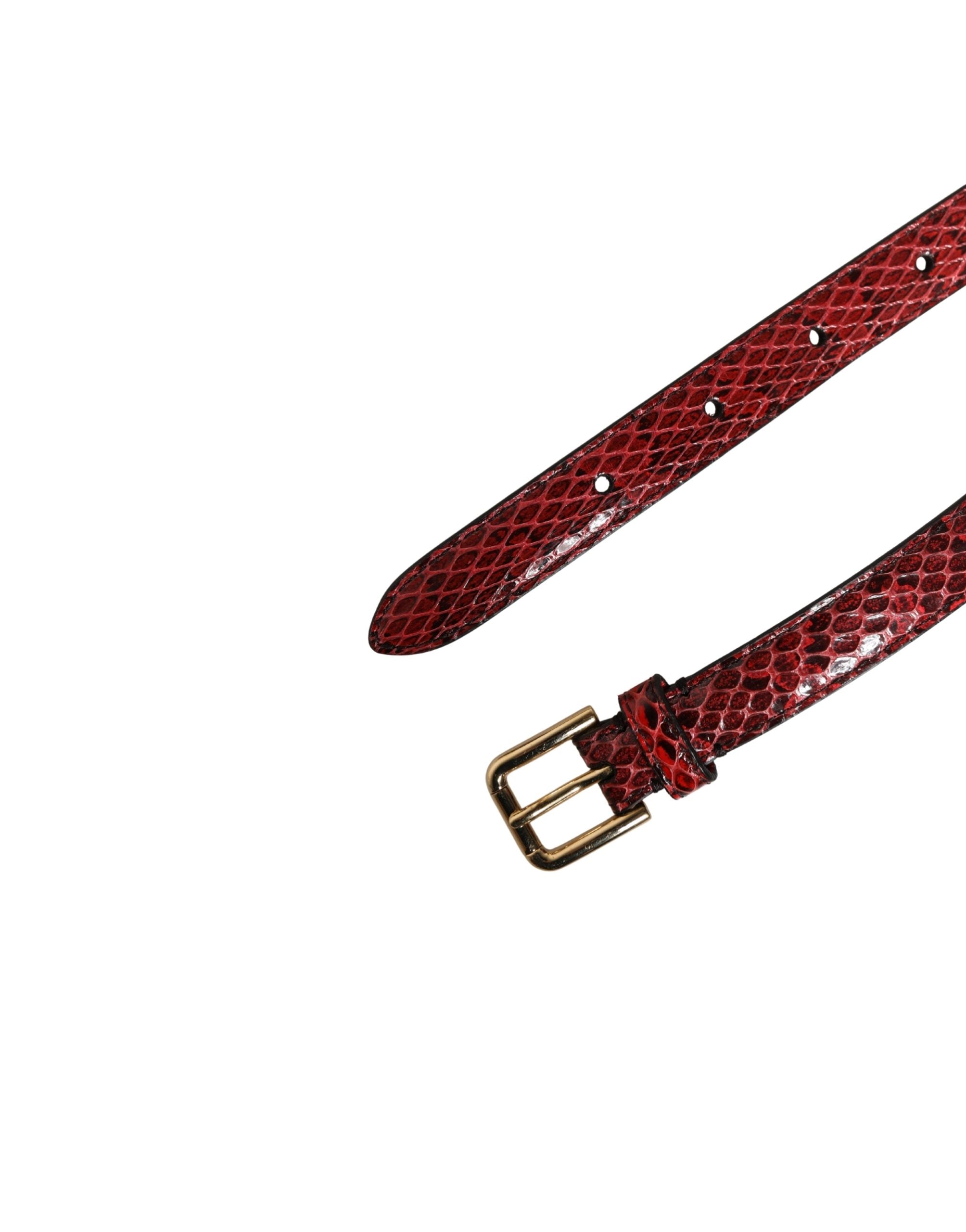 Dolce & Gabbana Red Leather Daisy Crystal Embellished Waist Belt Dolce & Gabbana