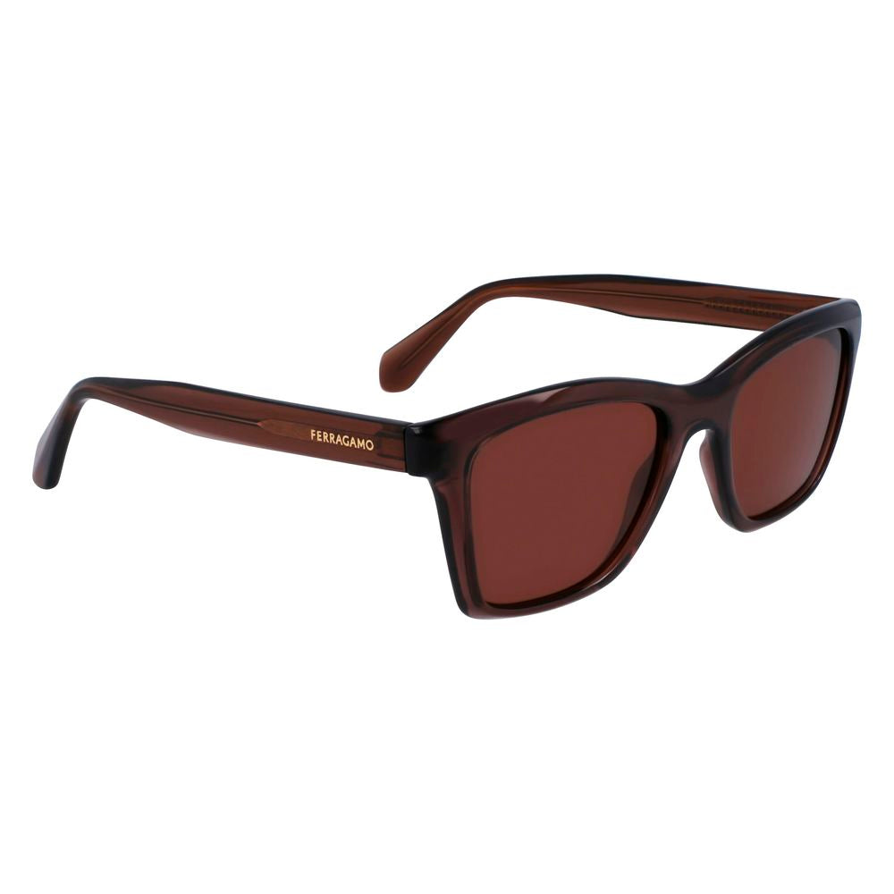 Ferragamo Brown Injected Sunglasses Ferragamo