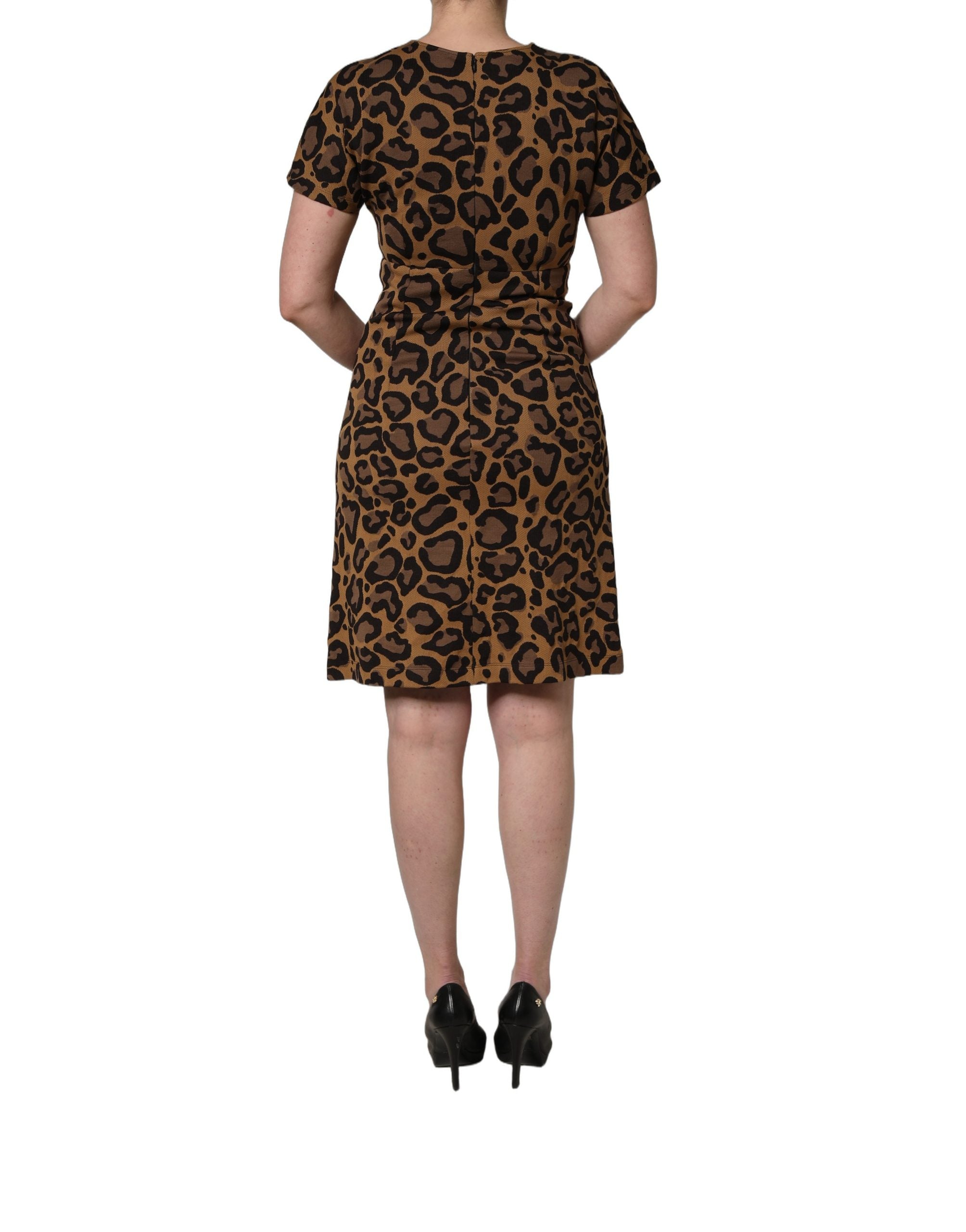 Dolce & Gabbana Brown Leopard Jacquard Knee Length Dress Dolce & Gabbana
