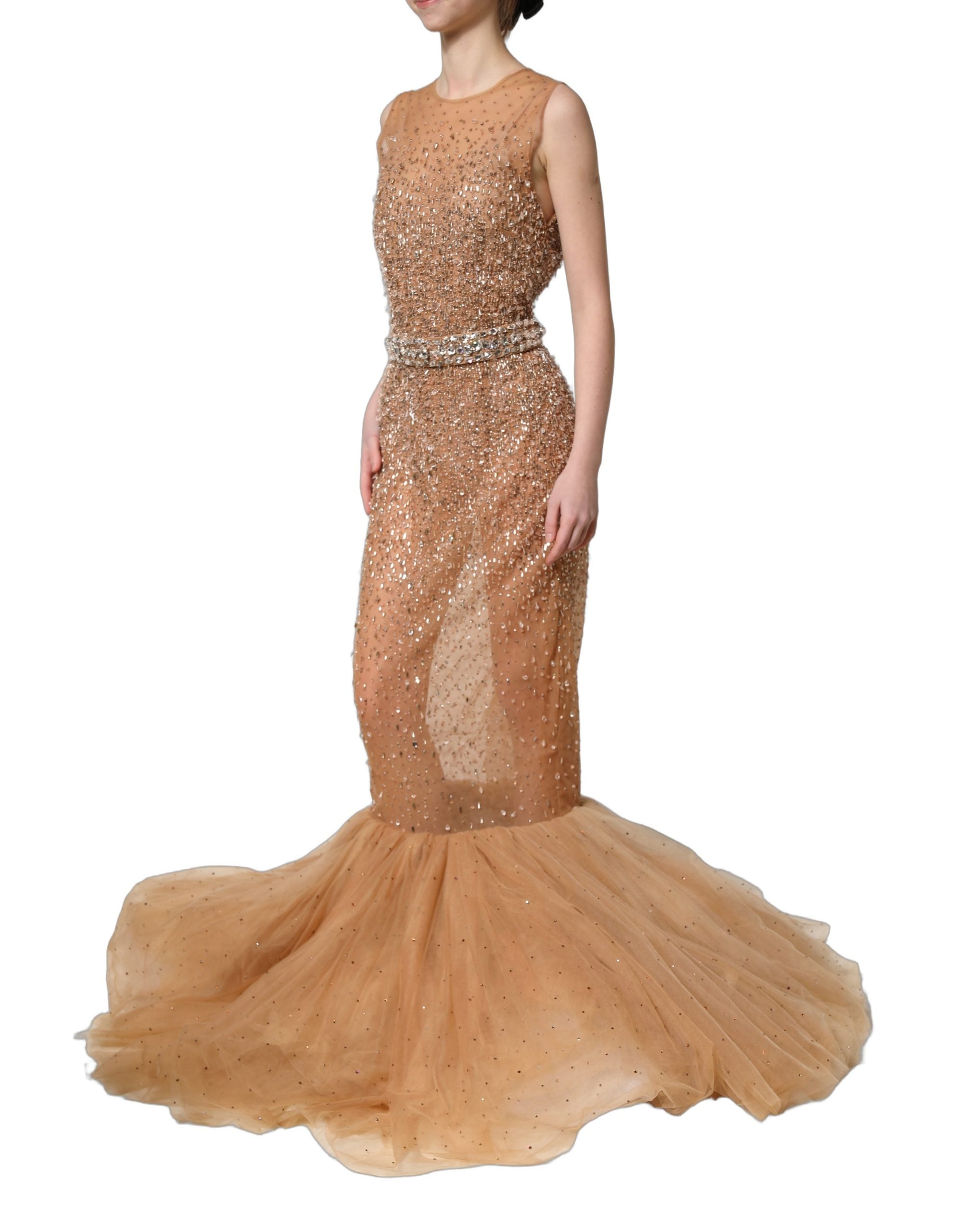 Dolce & Gabbana Brown Crystal Embellished Mermaid Gown Dress Dolce & Gabbana