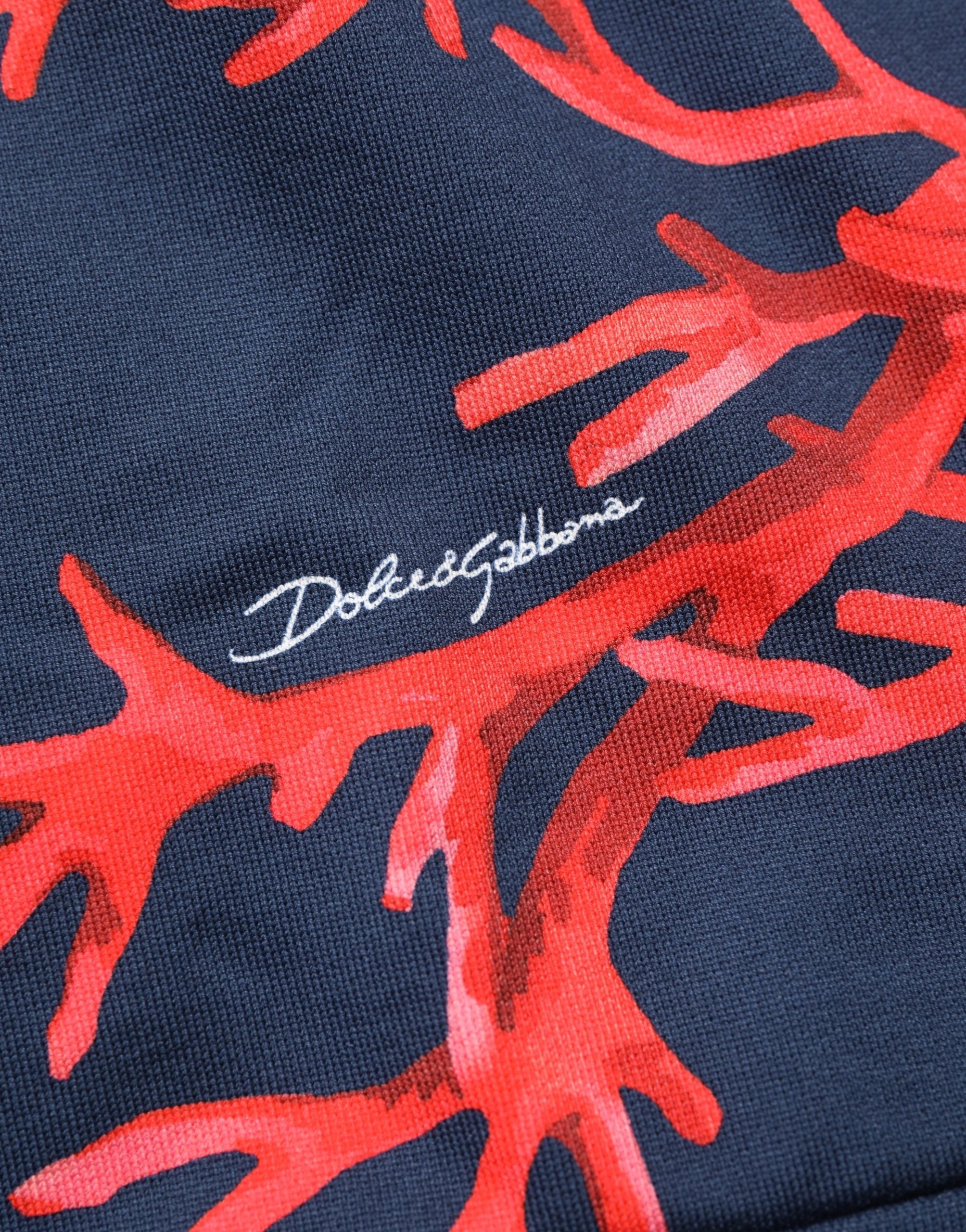 Dolce & Gabbana Blue Cotton Coral Logo Hooded Sweatshirt Sweater Dolce & Gabbana