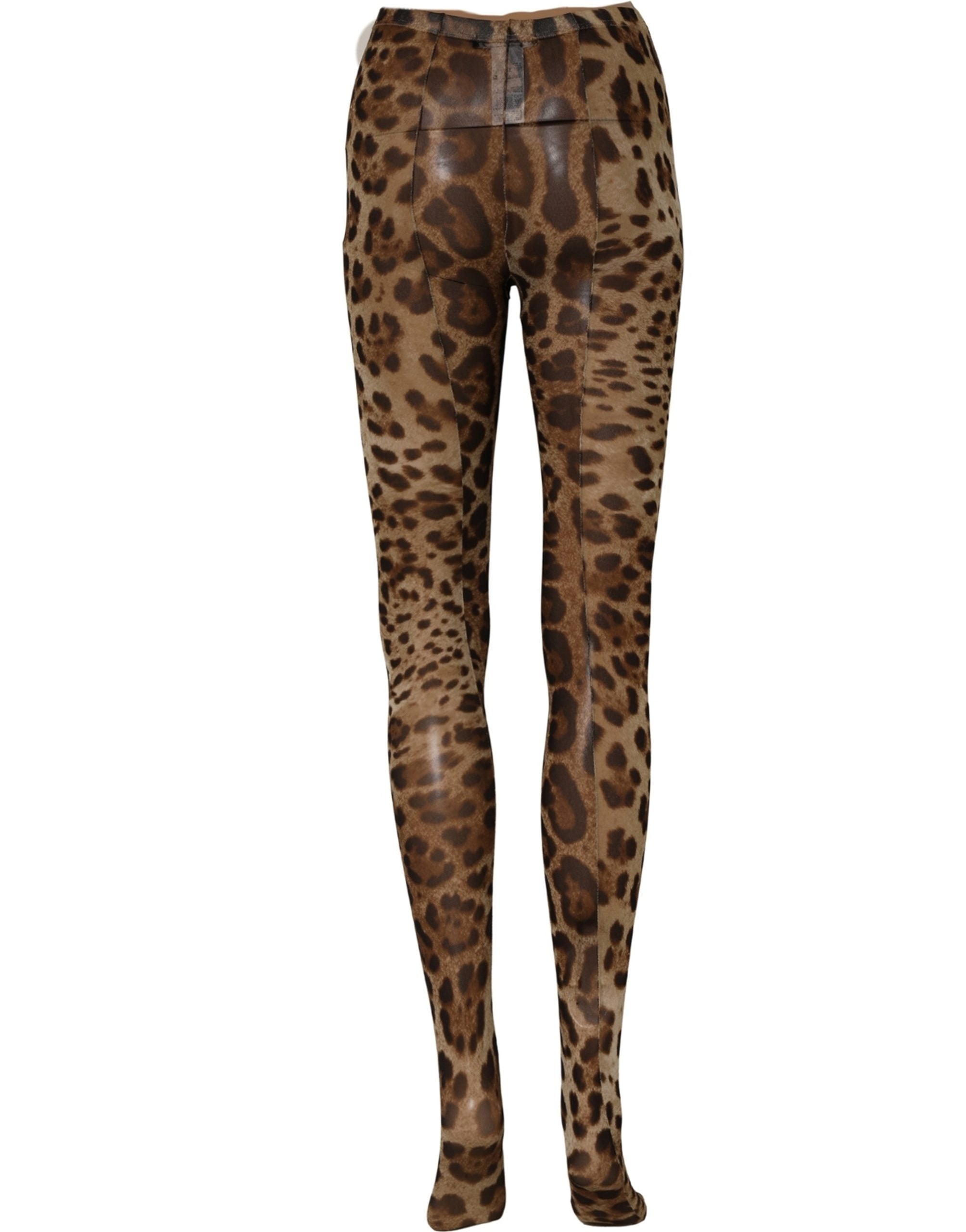 Dolce & Gabbana Brown Leopard Nylon Tights Stocking Pantyhose Socks Dolce & Gabbana