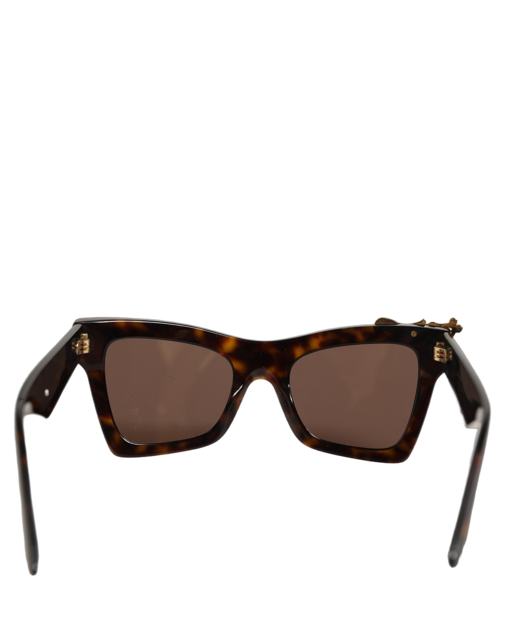 Dolce & Gabbana Brown DG4434 Accent Havana Acetate Frame Sunglasses Dolce & Gabbana