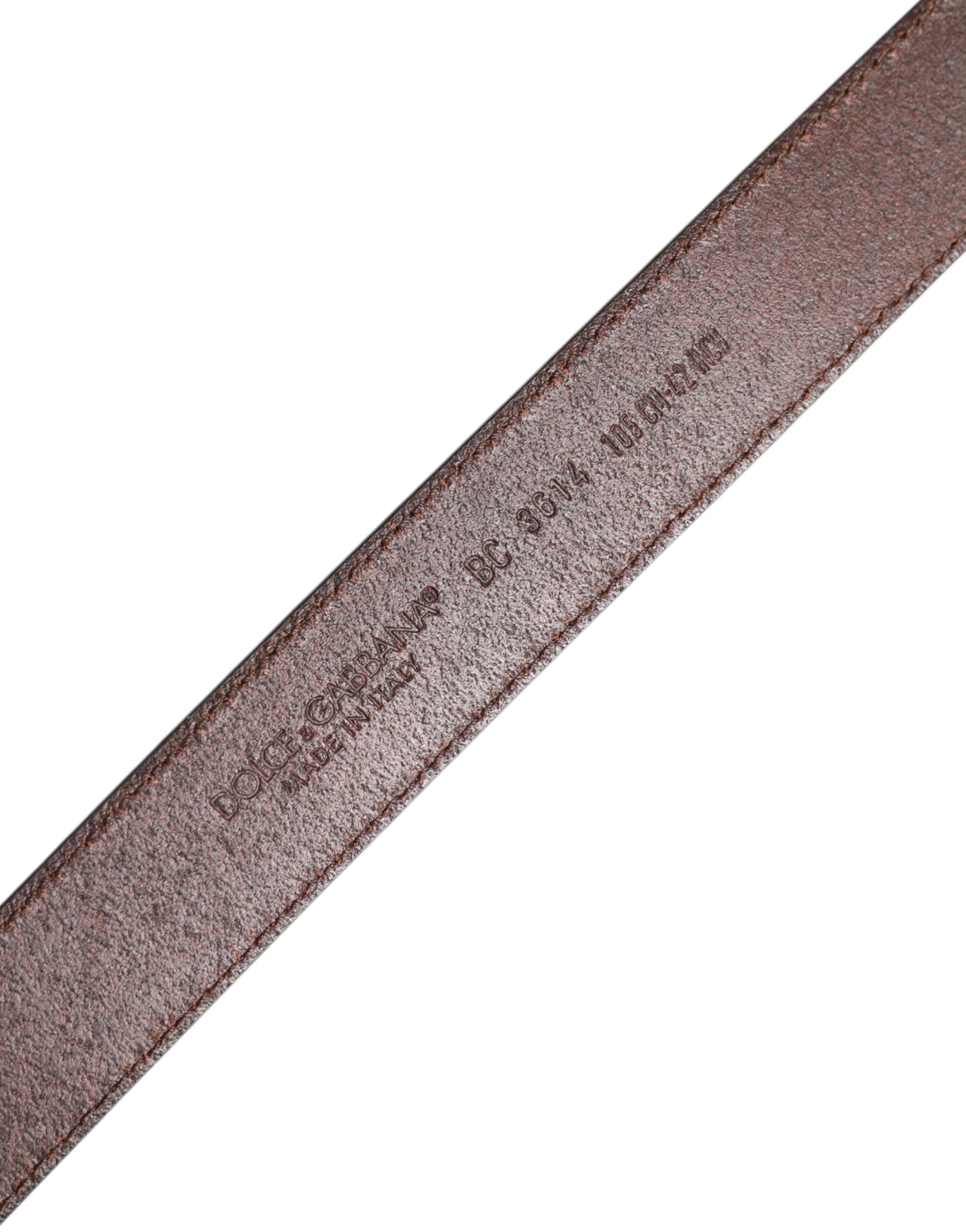 Dolce & Gabbana Brown Classic Calf Leather Metal Buckle Belt Dolce & Gabbana