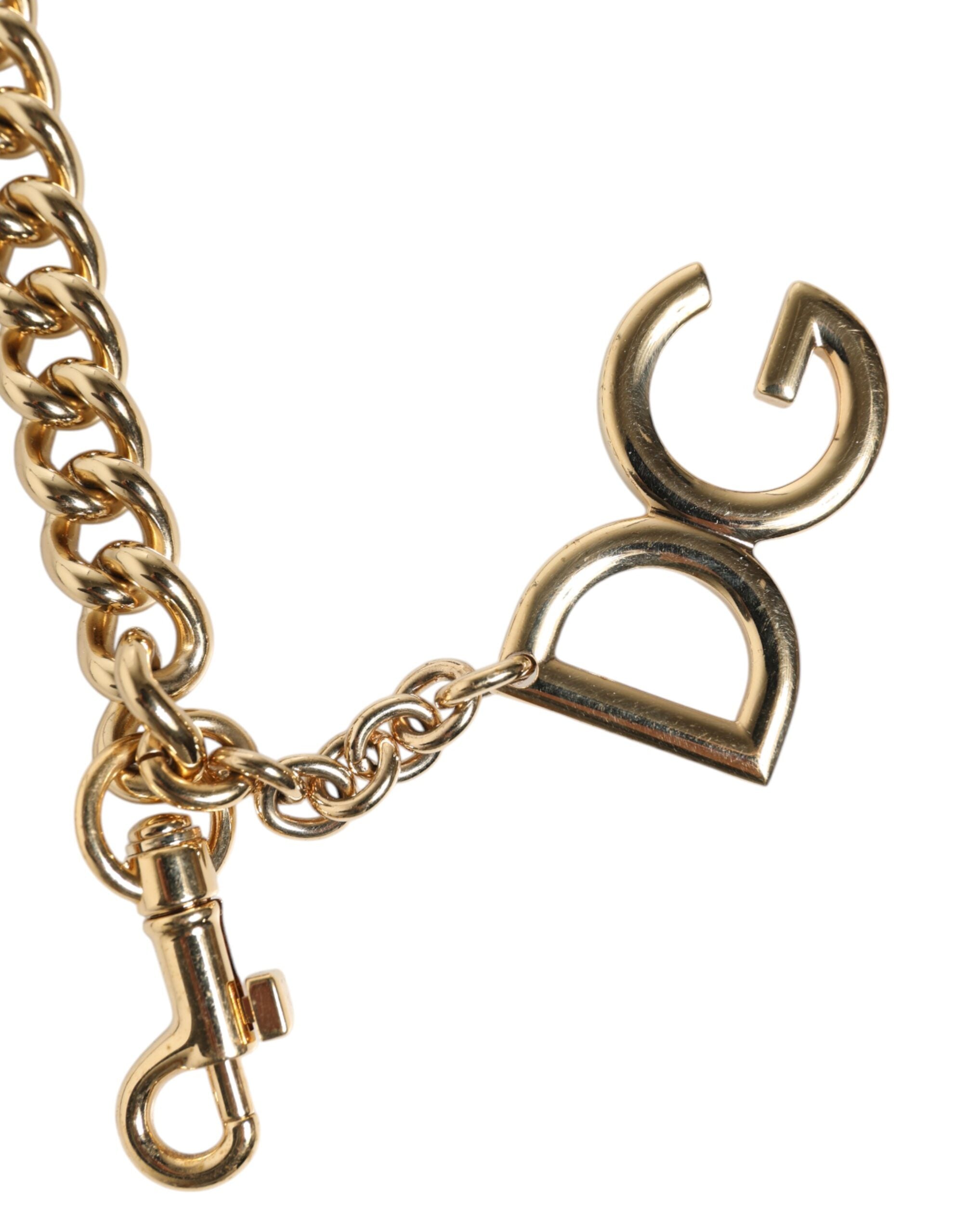 Dolce & Gabbana Brown Leopard Gold Brass Chain Accessory Shoulder Strap Dolce & Gabbana
