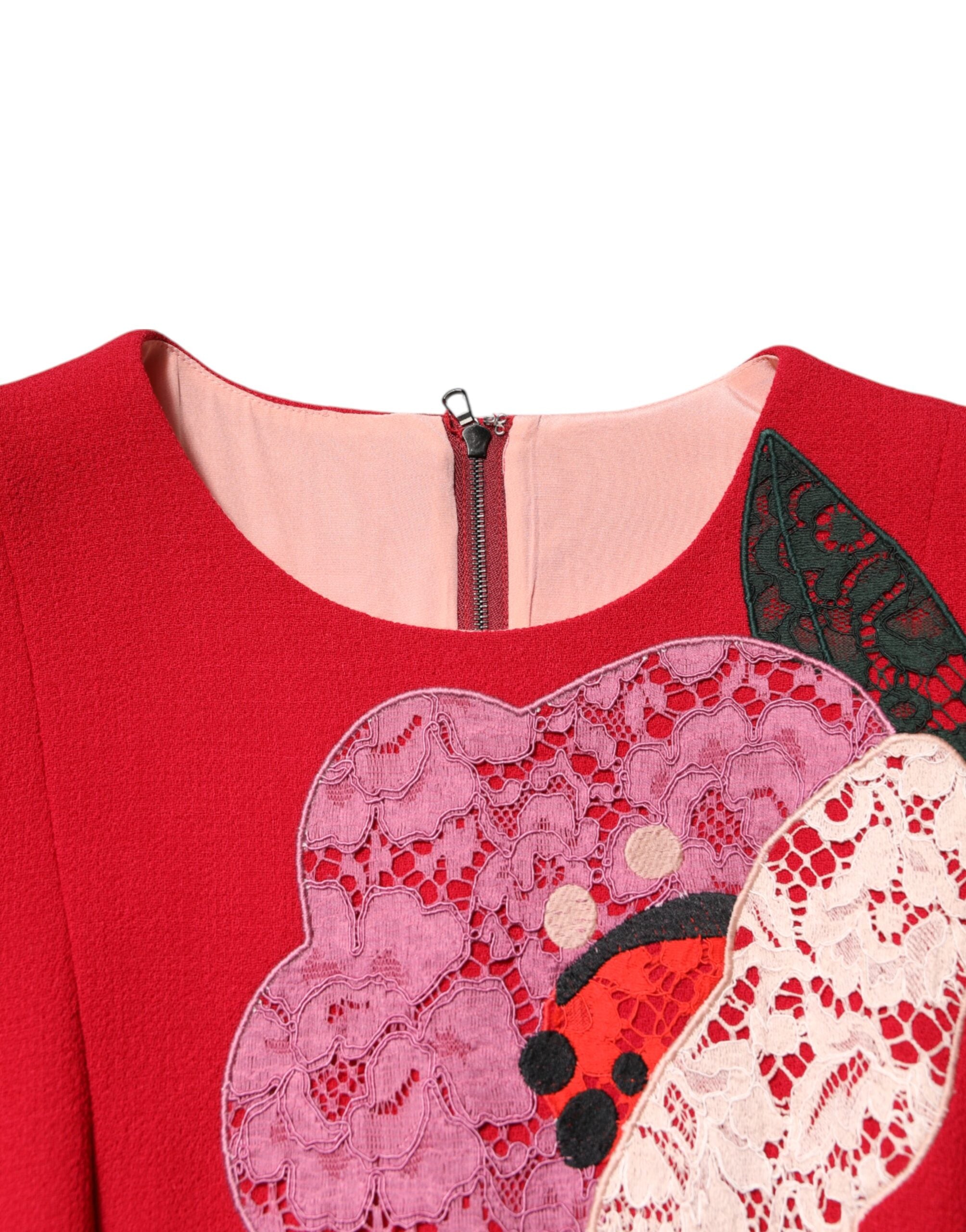 Dolce & Gabbana Red Lace Floral Applique A-line Mini Dress Dolce & Gabbana