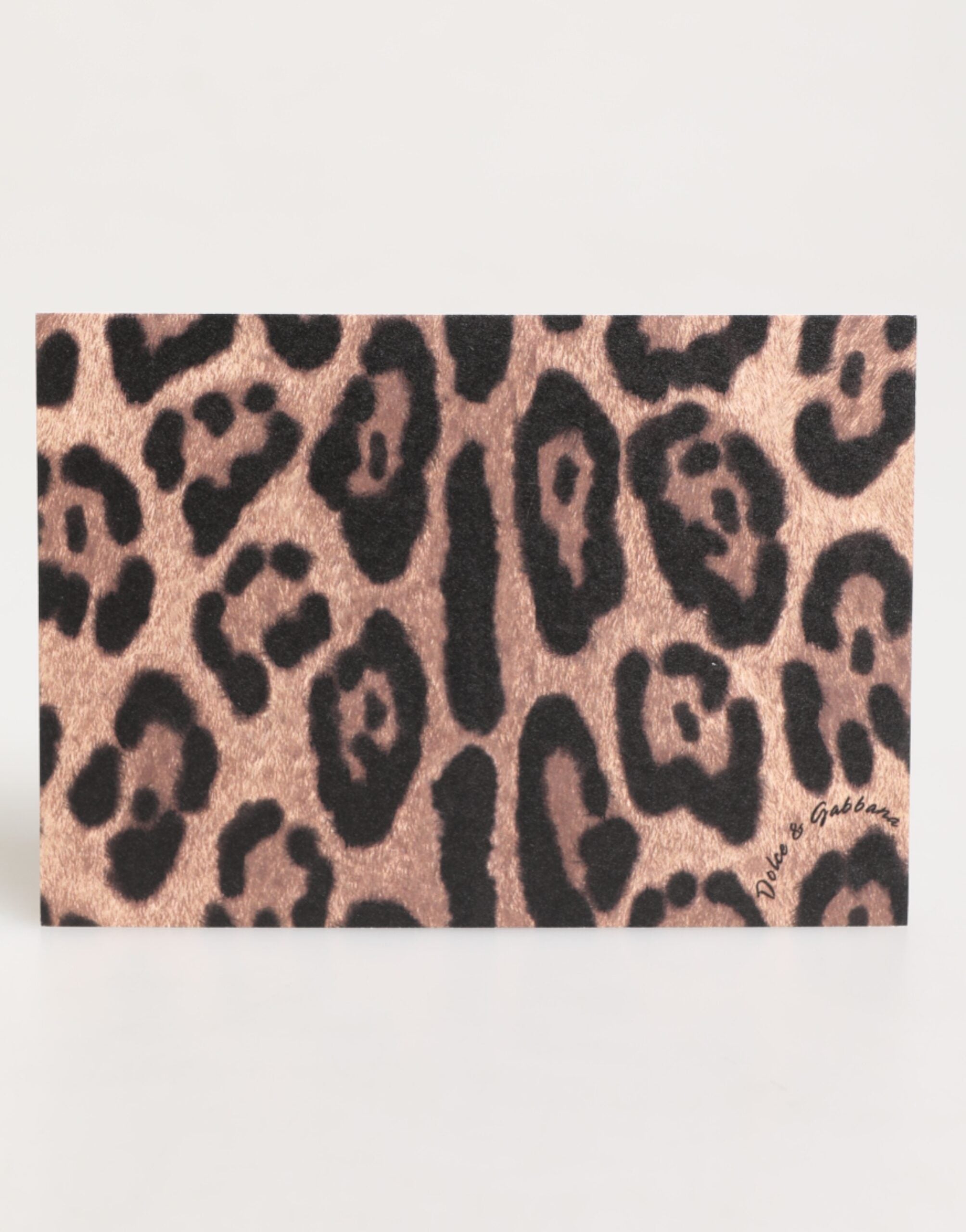 Dolce & Gabbana Multicolor Leopard Print Envelope Paper Post Card Holder Dolce & Gabbana