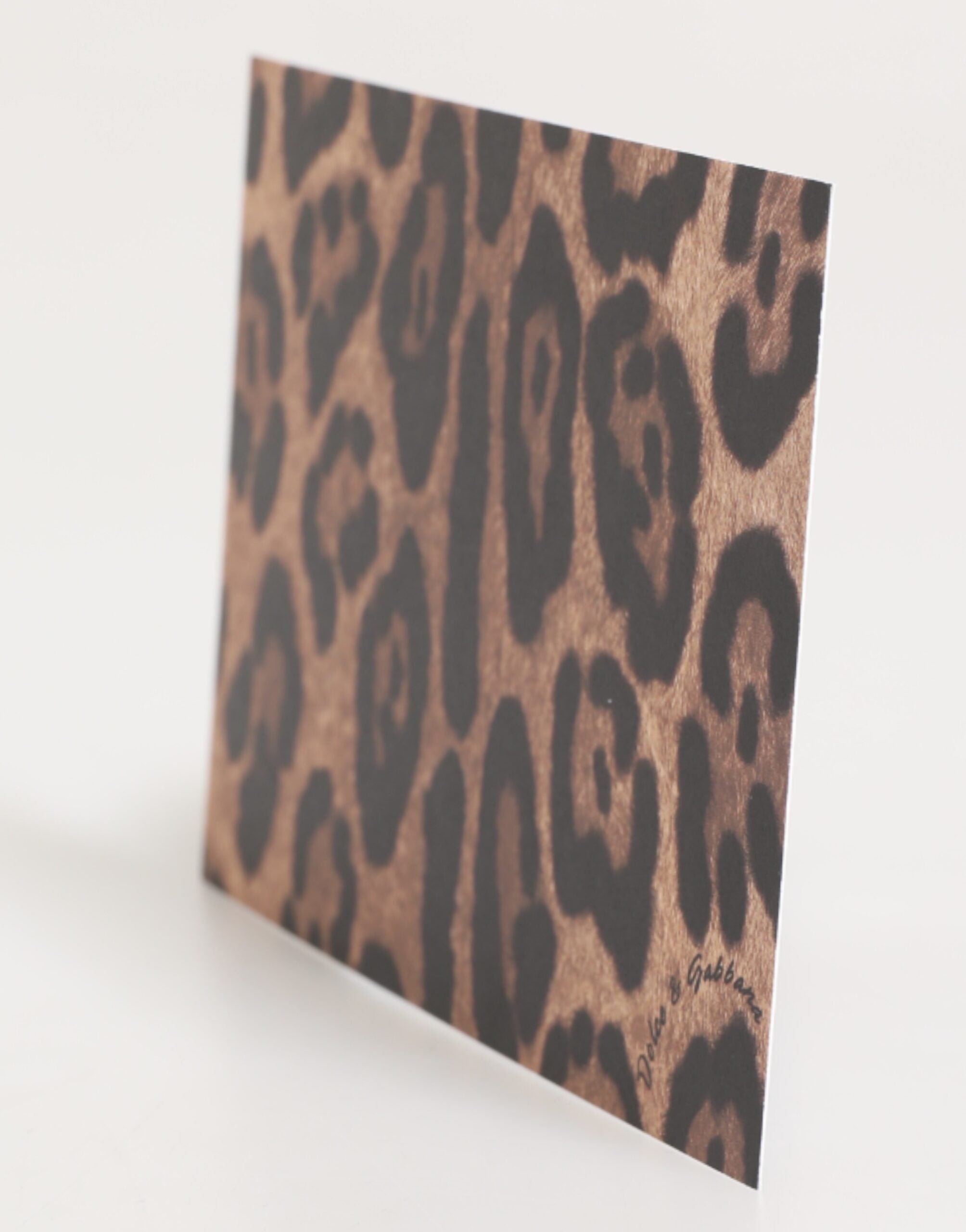Dolce & Gabbana Multicolor Leopard Print Envelope Paper Post Card Holder Dolce & Gabbana