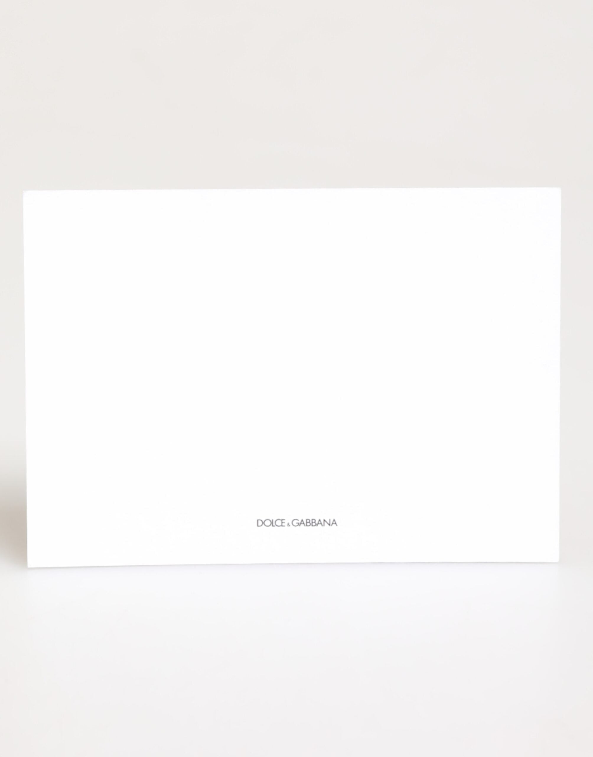 Dolce & Gabbana Multicolor Leopard Print Envelope Paper Post Card Holder Dolce & Gabbana