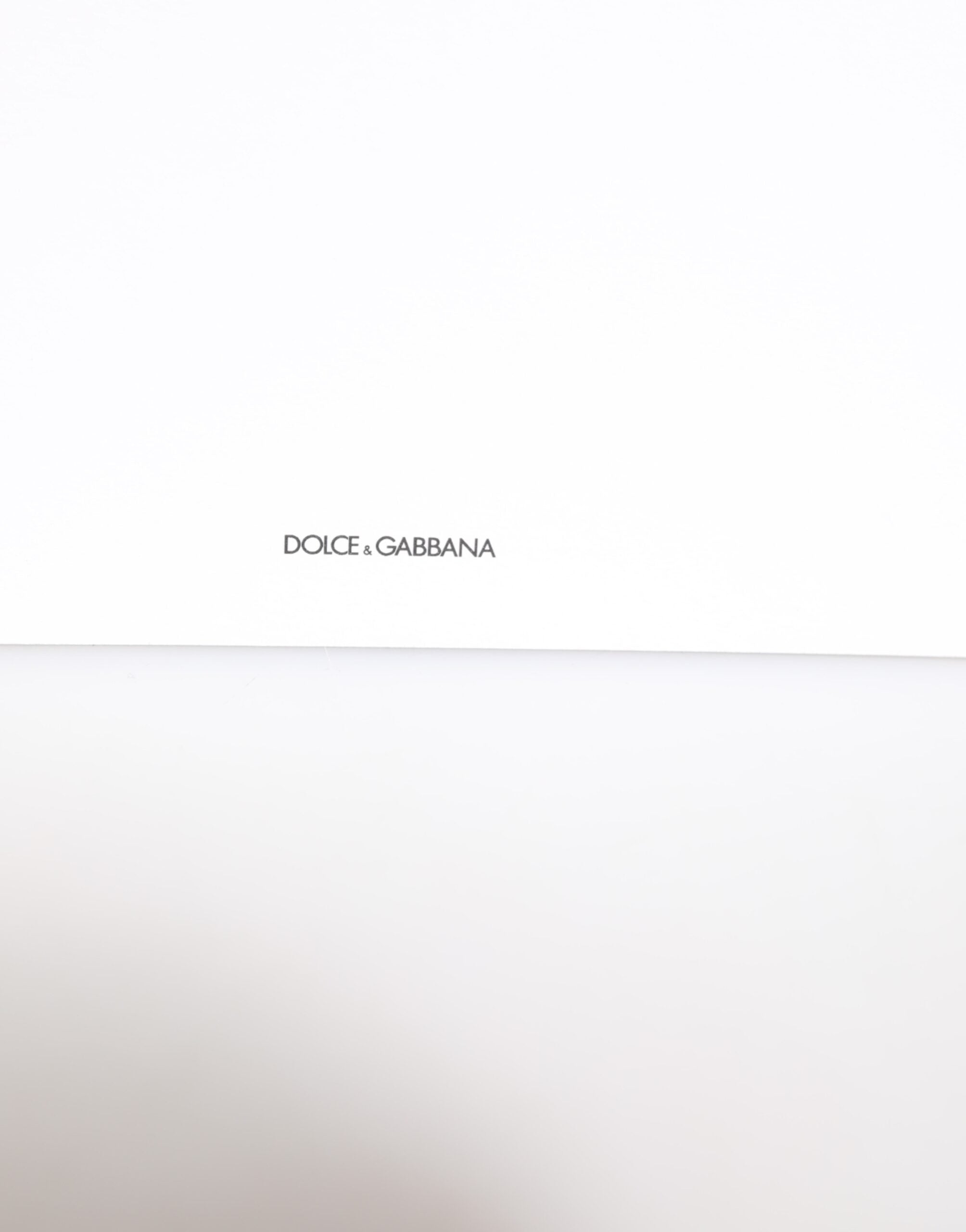 Dolce & Gabbana Multicolor Leopard Print Envelope Paper Post Card Holder Dolce & Gabbana