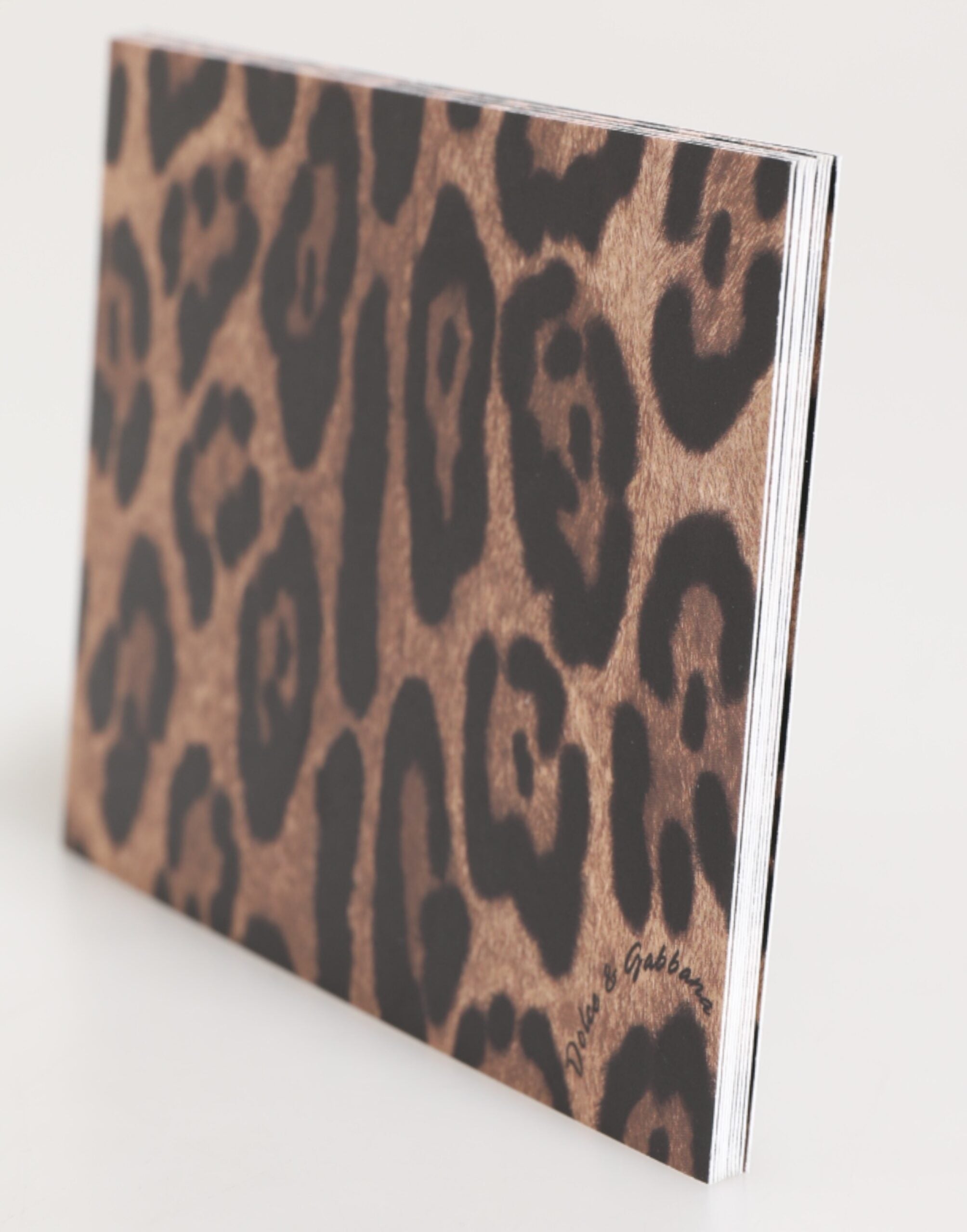Dolce & Gabbana Multicolor Leopard Print Envelope Paper Post Card Holder Dolce & Gabbana
