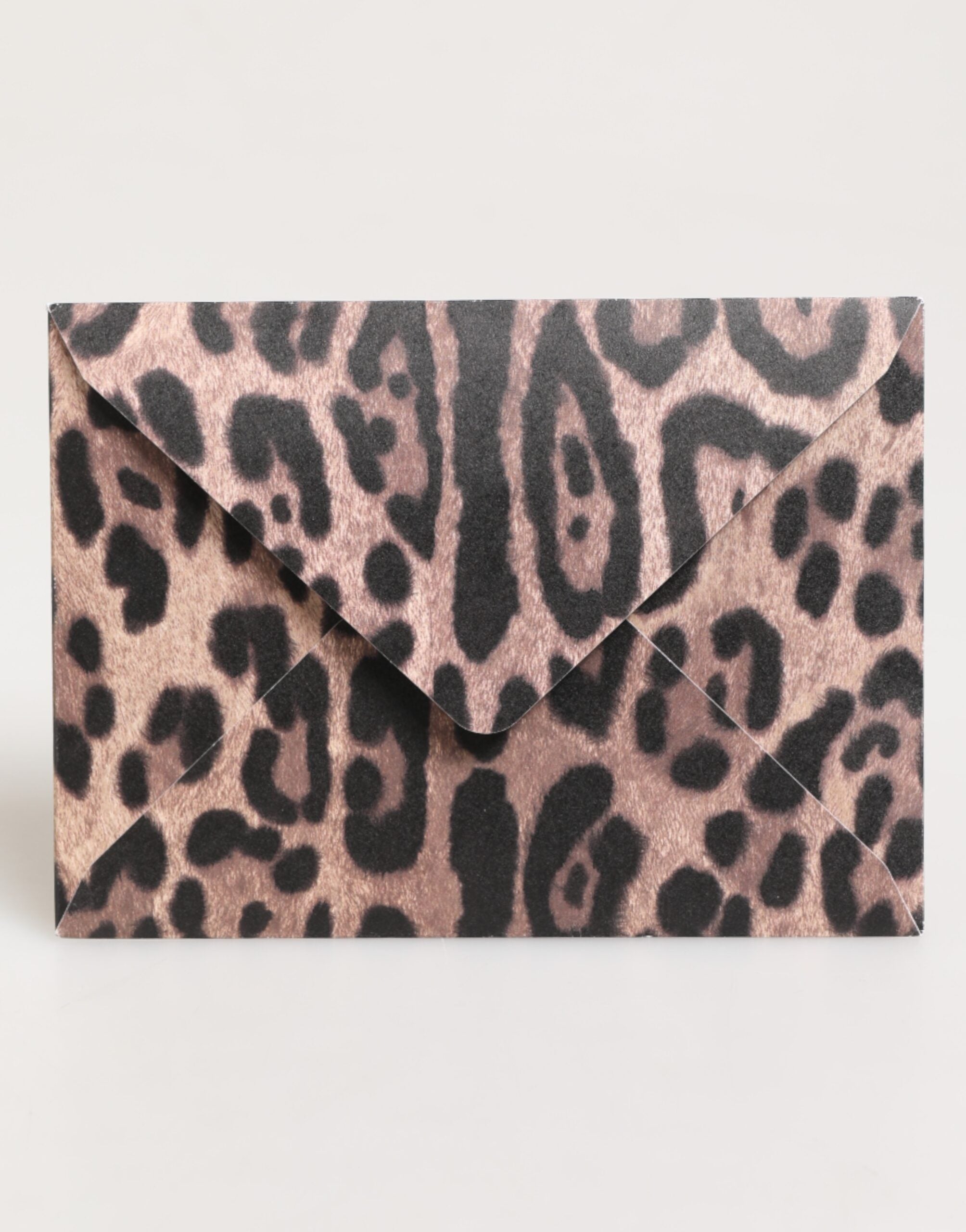 Dolce & Gabbana Multicolor Leopard Print Envelope Paper Post Card Holder Dolce & Gabbana