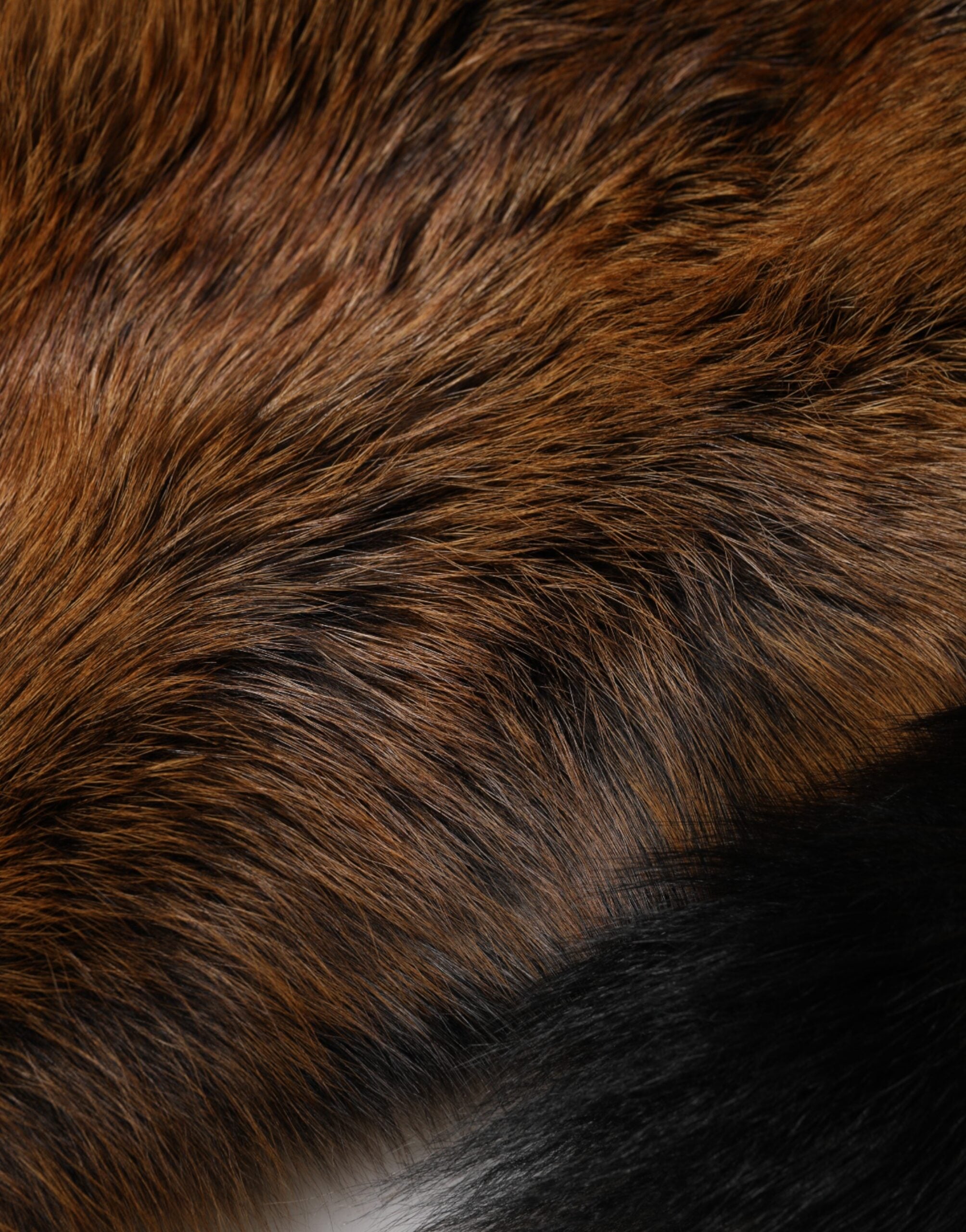 Dolce & Gabbana Brown Red Fox Fur Neck Cashmere Warmer Scarf Dolce & Gabbana
