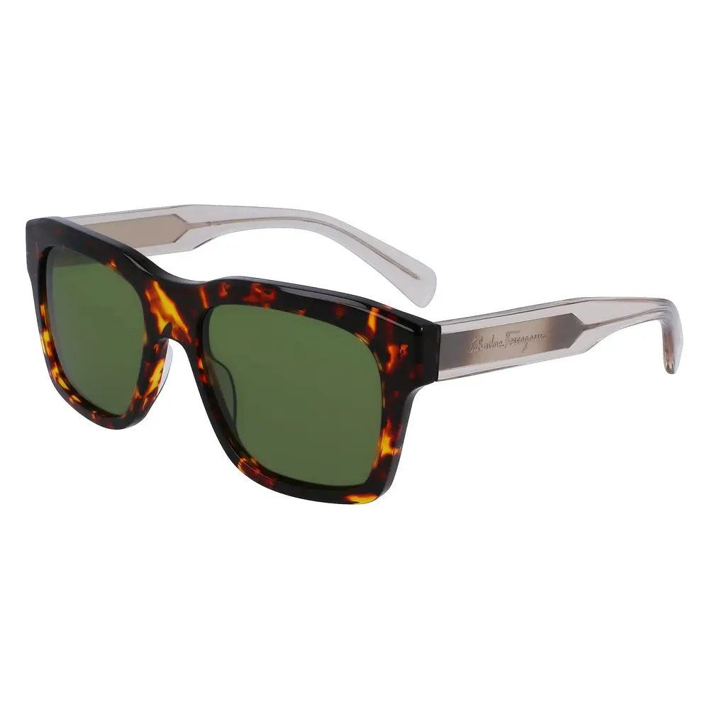 Ferragamo Brown Acetate Sunglasses Ferragamo